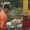 수배농장 이미지