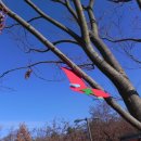 불암초교 이미지