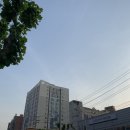 놀부펫마트 네이버블로그