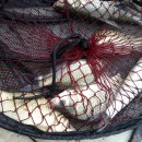 실리곡낚시터 이미지