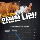 우리돼지소 Daum카페
