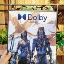 3840 | <아바타 : 불과 재> 돌비시네마 Dolby Cinema 메가박스 대전신세계 3D 4K HDR HFR 역대급 추천 후기