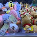 캑티 가챠샵 노원점 이미지