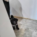 화이트 버블 이미지