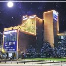 눈밑꺼짐필러전후 대신 눈밑지방재배치 받은 후기