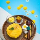 수원-1269 티스토리
