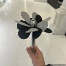 씨드 온 스테이지 -클래식 스테이지 | 신세계 강남 USM Haller 오픈 스테이지 and USM 인상 전 구매