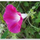 이방초등학교 이미지