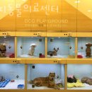 아띠동물의료센터 이미지