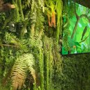 도래울고등학교 이미지