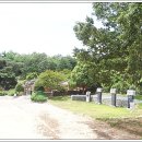 유림-1159 이미지