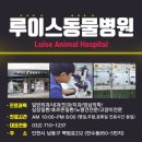 사랑가득동물병원 이미지