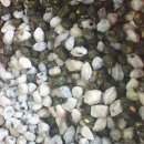 5주공아파트경로당 이미지