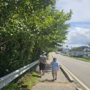 GS25 강화한옥점 이미지