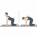 find your dog | 남동구요가 | 무기력한 겨울을 끝낼 2월 아침 요가 챌린지(성공시 수강료 0원!)