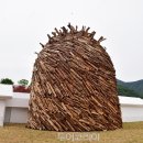 영월Y파크(술샘박물관) 이미지