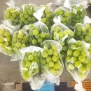 유진농장 이미지