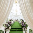 지디파크 이미지