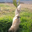 유목농장 이미지