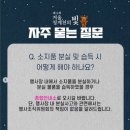 축제광장 화장실 이미지