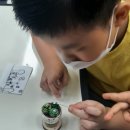 새아리농장 이미지