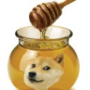 멍꿀개꿀 이미지