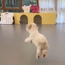 헬로우버디 광교점 이미지