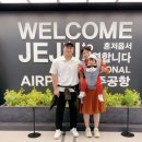 제주가족사랑카시트 네이버블로그