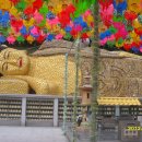 미리네농장 이미지