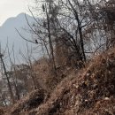용산-194 Daum카페