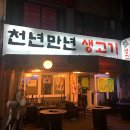 만년생고기 티스토리