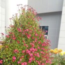 신안군청 이미지