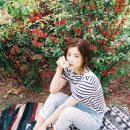 박초롱 카카오 검색결과