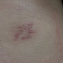 김정규의원 이미지