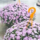 펌앤컷헤어샵 - 서대문구 통일로 387-1 | 펌앤컷헤어샵