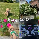 홍제세차장 | Photo diary _ May 2024