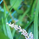 해돋이마을 이미지