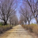 유니온파크 이미지