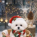 판교 P&P 동물병원 이미지