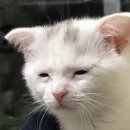 제주마그마 여성전용찜질방 | 떠나자 나의 고향으로 (태어난 곳 아님) -上