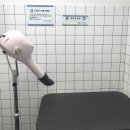 올리스 펫 쌀롱 | 세종시 셀프목욕 애견미용 올리스24 이용요금 내돈내산 솔직후기