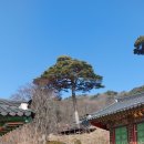 벽송 농장 네이버블로그