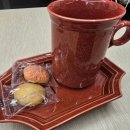 시프헤어 이미지