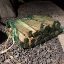 놀터캠핑장 이미지