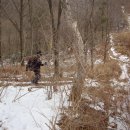 금남농장 이미지