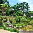 순순(soonsoon) 이미지