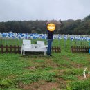 만석목장 이미지