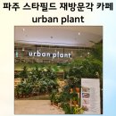 파주 운정 스타필드 카페 urban plant 후기｜브런치 맛집 인정