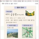 15회 고급 10번 해설(대가야의 유물) 이미지