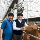 왕산농장 이미지